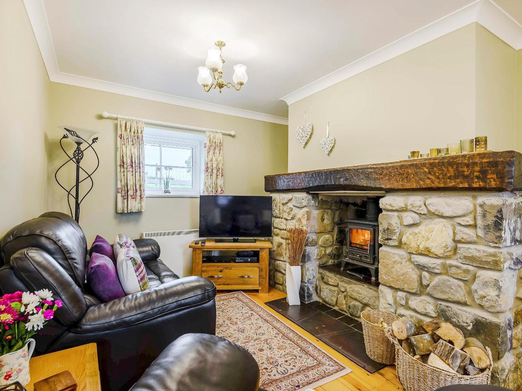 Bwthyn - Uk31387 Holiday home